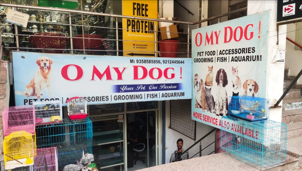 O My Dog – Pet Store. Quality pet food, accessories, grooming products and supplies for dogs and other pets. Address: Ramphal Chowk Road, Sector 7, Block D, Palam Extension, Dwarka, Delhi. Open daily till 10 PM.